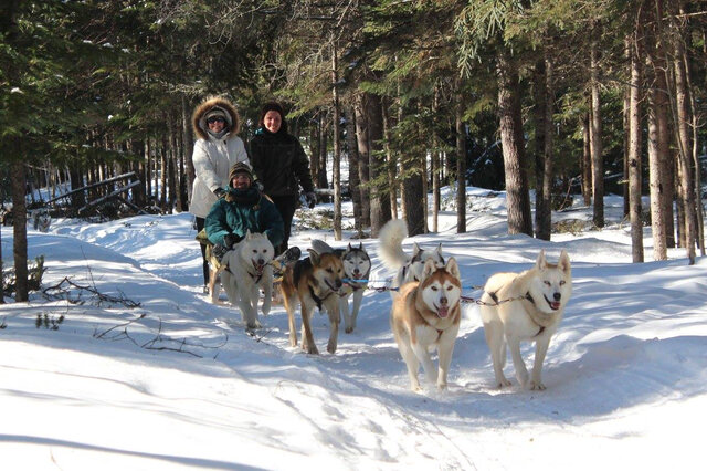 Traîneau à chiens, Laurentides&nbsp;&nbsp;&nbsp;&copy; Aventure Quatre Saisons