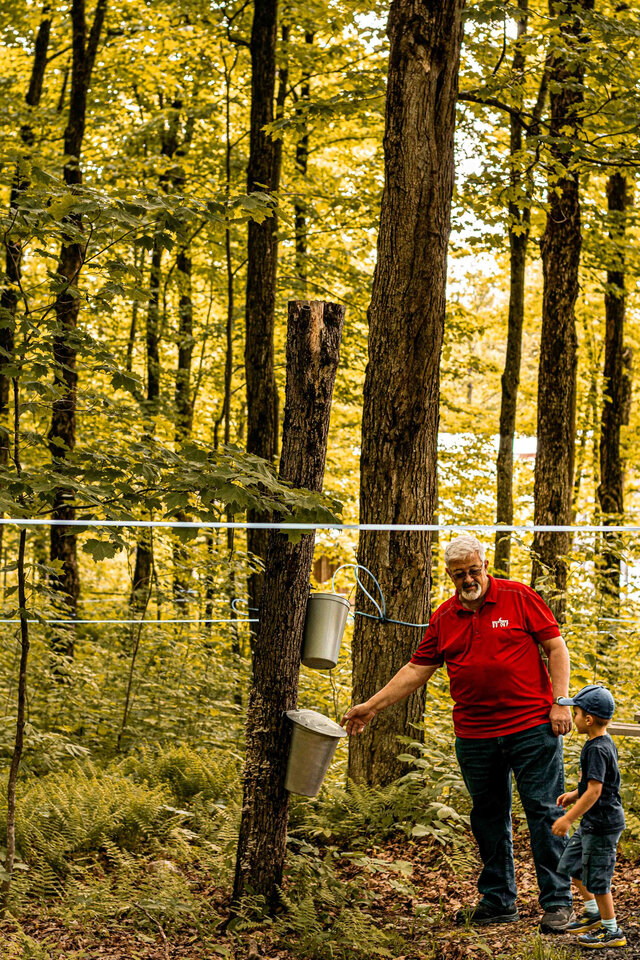 Visite en forêt&nbsp;&nbsp;&nbsp;&copy; Érablière du Cap