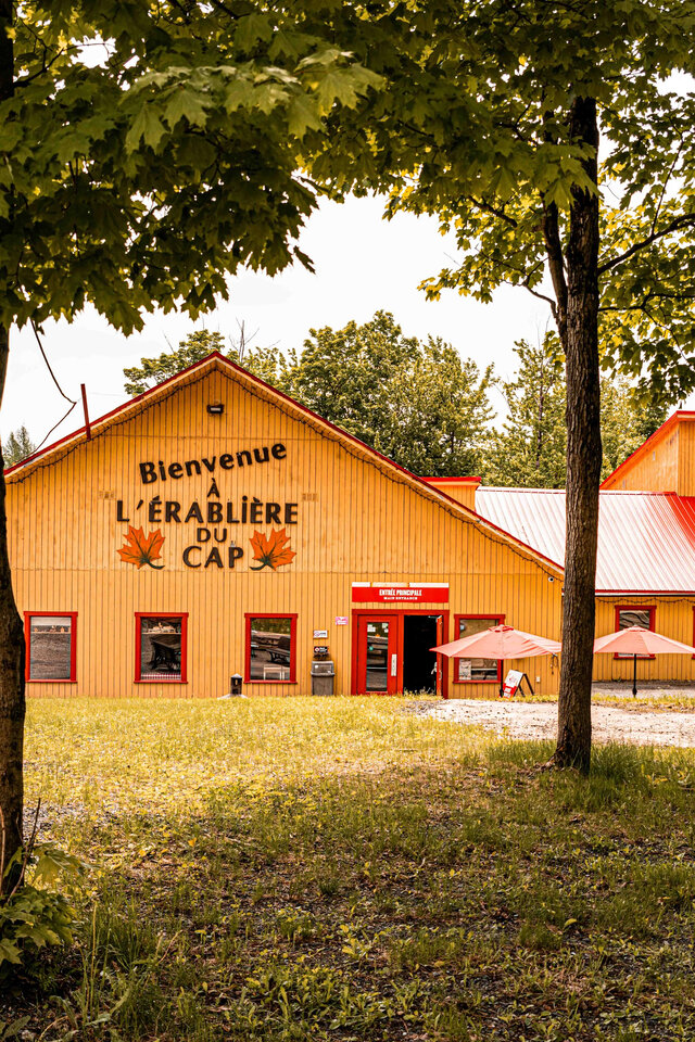 Érablière en été&nbsp;&nbsp;&nbsp;&copy; Érablière du Cap