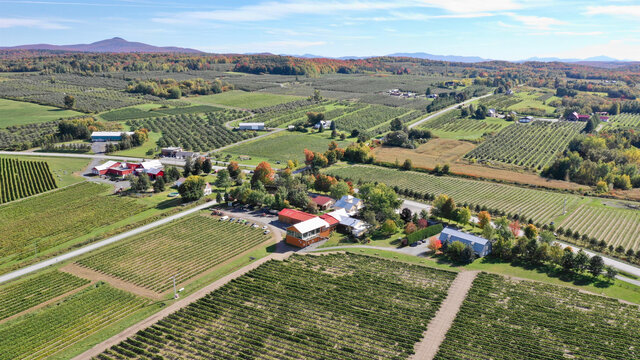 Vue aérienne du Vignoble de l'Orpailleur&nbsp;&nbsp;&nbsp;&copy; Aerial view of the Orpailleur Vineyard