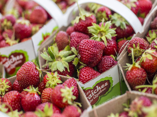 Fraises