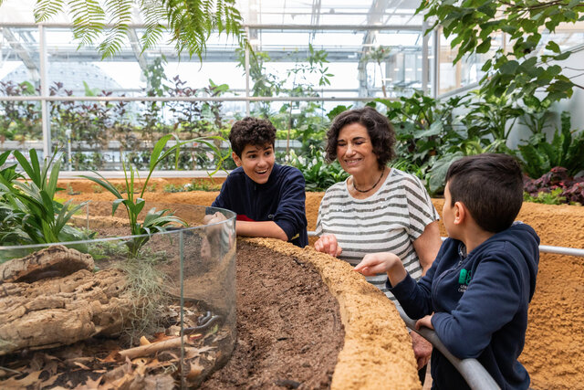 Insectarium de Montréal – Espace pour la vie&nbsp;&nbsp;&nbsp;&copy; Espace pour la vie /Mélanie Dusseault