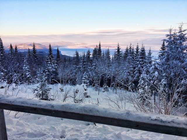 Paysage hivernal&nbsp;&nbsp;&nbsp;&copy; F.Bouvet-Bouchard