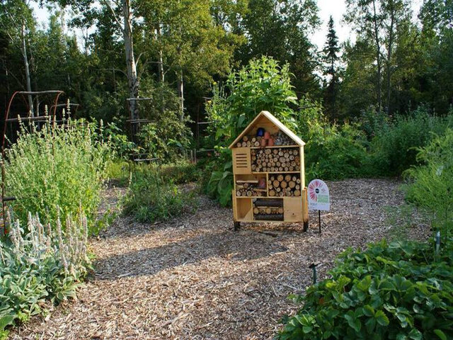 Hôtel à insectes Jardin de Plantes Médicinales&nbsp;&nbsp;&nbsp;&copy; Jardin Communautaire Ruisseau Bois-Joli