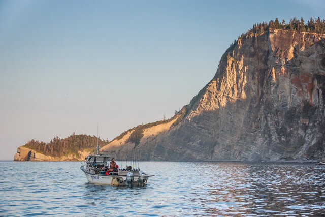 Croisière observation faune, Gaspé&nbsp;&nbsp;&nbsp;&copy; Auberge et Chalets Griffon Aventure