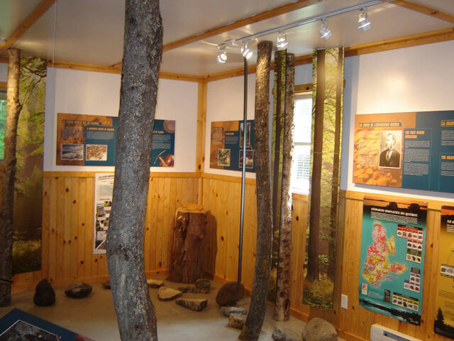 Exposition