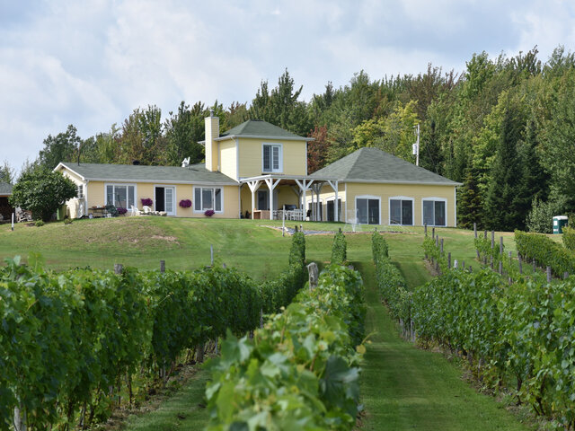 Terrasse&nbsp;&nbsp;&nbsp;&copy; Vignoble les Côtes du Gavet