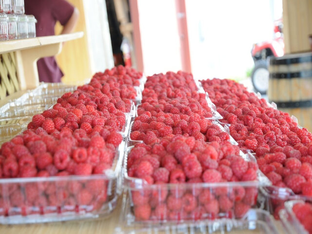 Framboises&nbsp;&nbsp;&nbsp;&copy; La Vallée de la Framboise