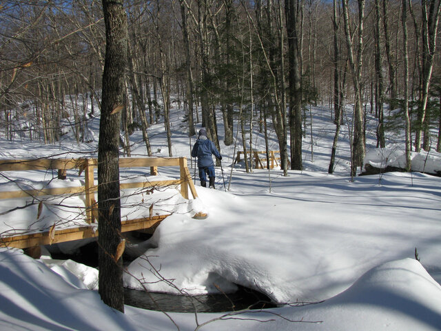 Corridor Appalachien&nbsp;&nbsp;&nbsp;&copy; Réserve naturelle des Montagnes-Vertes