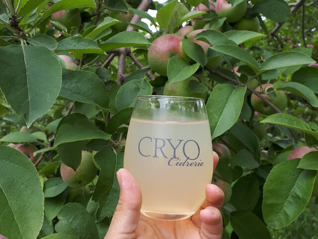 Cidre&nbsp;&nbsp;&nbsp;&copy; H.Poliquin
