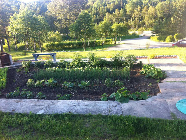 Jardin