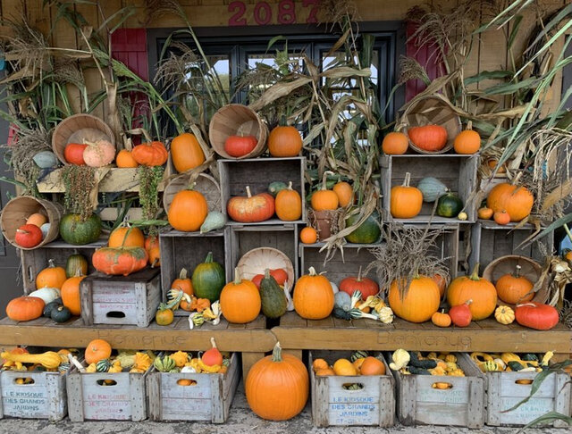 Décor d'automne&nbsp;&nbsp;&nbsp;&copy; Le kiosque des grands jardins Inc.