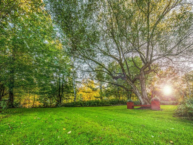Parc des Deux Rivières en été&nbsp;&nbsp;&nbsp;&copy; S.Lafrance
