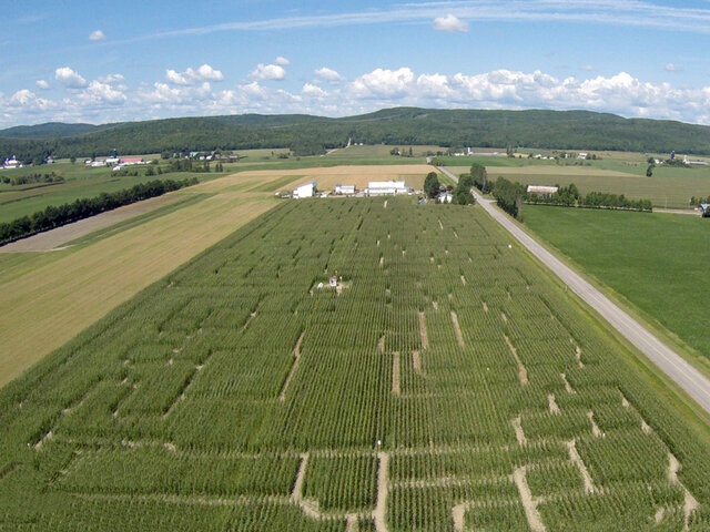 Le grand labyrinthe de Lanaudière - 2&nbsp;&nbsp;&nbsp;&copy; Ferme Guy Rivest