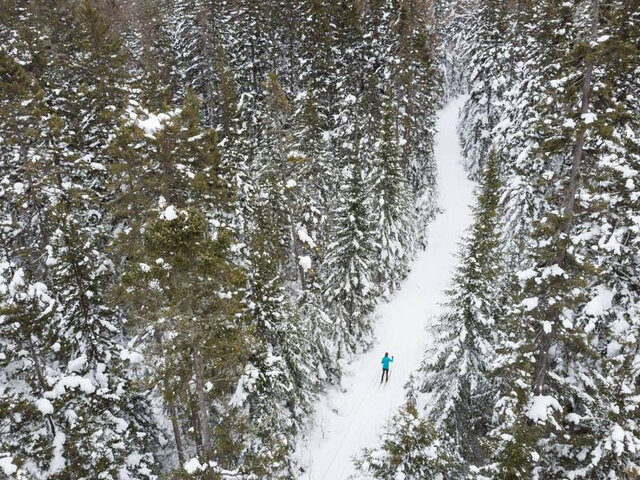 Sentier de ski de fond&nbsp;&nbsp;&nbsp;&copy; Daniel T photo