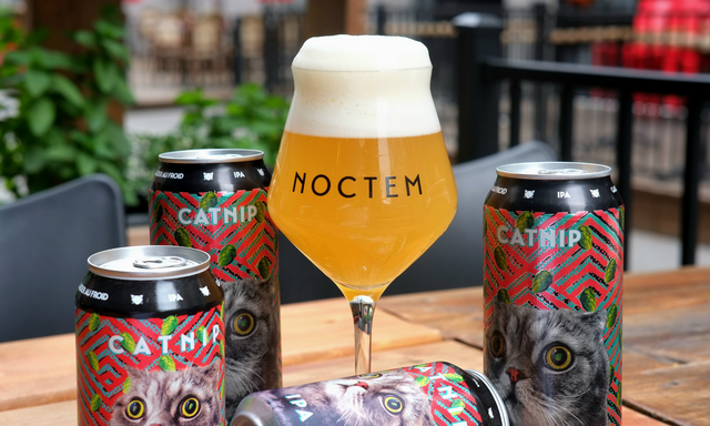 Catnip&nbsp;&nbsp;&nbsp;&copy; Noctem Artisans Brasseurs