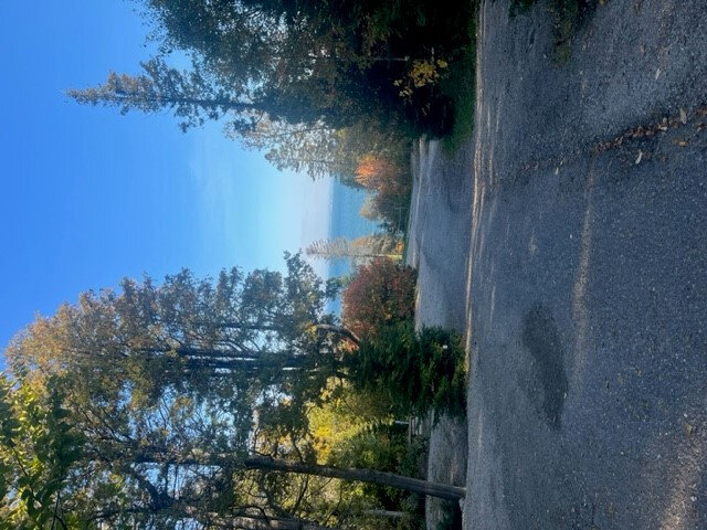 Rue du Ruisseau&nbsp;&nbsp;&nbsp;&copy; Camping Falaise-sur-Mer