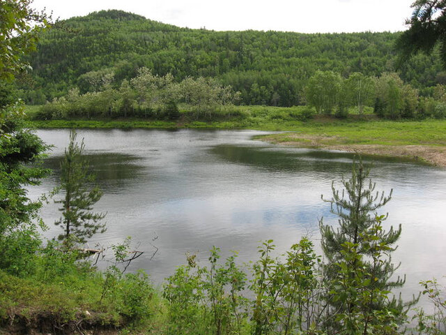 Étang d'eau&nbsp;&nbsp;&nbsp;&copy; Saumon Rivière Malbaie