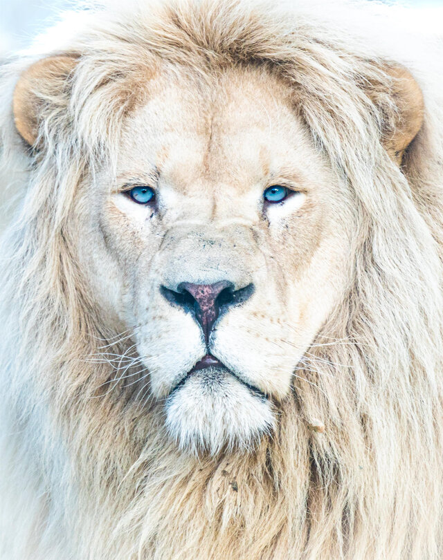 Familizoo - 3&nbsp;&nbsp;&nbsp;&copy; Youssef Laghmani