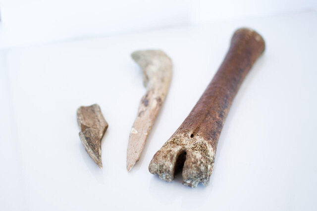 Objets en exposition&nbsp;&nbsp;&nbsp;&copy; Elisabeth Carrier
