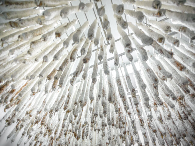 Ciel saucissons&nbsp;&nbsp;&nbsp;&copy; Les Viandes Bio de Charlevoix
