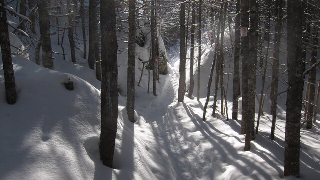 Magnifique journée d'hiver&nbsp;&nbsp;&nbsp;&copy; J.Delagrave