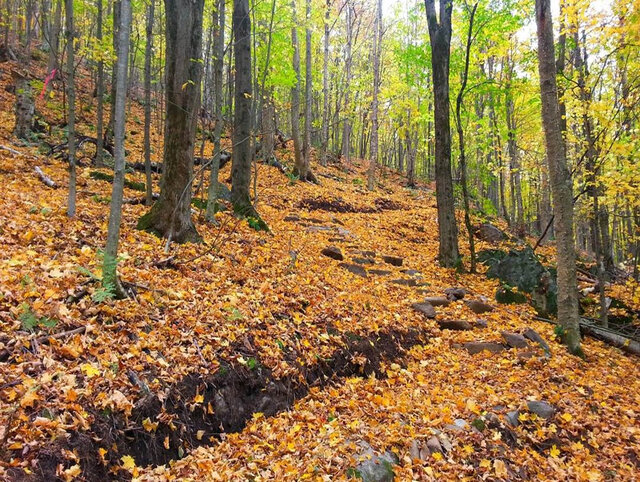 Sentier du Parc des Montagnards&nbsp;&nbsp;&nbsp;&copy; Conservation Espace Nature Shefford (CENS)