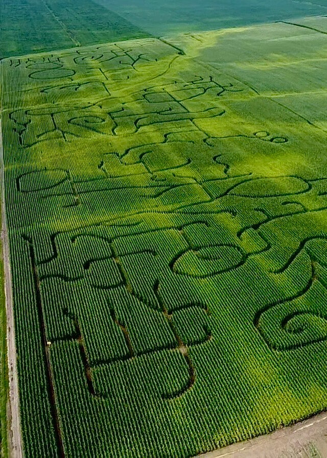 Labyrinthe&nbsp;&nbsp;&nbsp;&copy; Citrouilles & cie