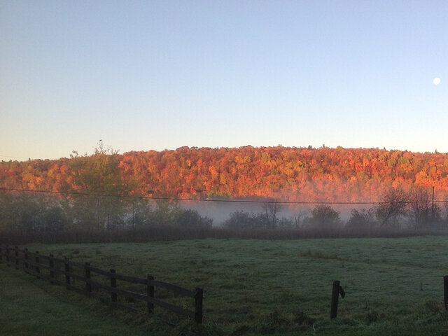 Ranch à l'automne&nbsp;&nbsp;&nbsp;&copy; D.Carpentier
