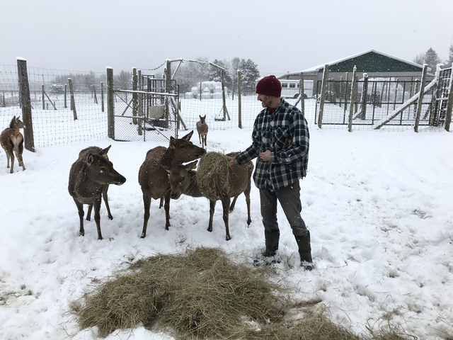 Ferme Le Sabot d'Or en hiver&nbsp;&nbsp;&nbsp;&copy; A.Caron