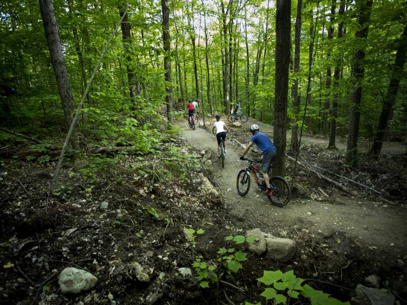 Vélo de montagne   © S.Drouin
