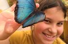 Fillette et papillon&nbsp;&nbsp;&nbsp;&copy; Bfly