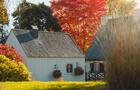 Le Moulin des Jésuites de Charlesbourg à l'automne&nbsp;&nbsp;&nbsp;&copy; L-W.Théberge
