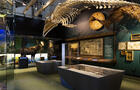 Expositions Le Québec, autrement dit&nbsp;&nbsp;&nbsp;&copy; Musée de la civilisation/M-J.Marcotte - Icône