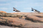 Observation des oiseaux marins&nbsp;&nbsp;&nbsp;&copy; A.Gagnon