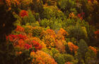 Paysage couleurs d'automne&nbsp;&nbsp;&nbsp;&copy; E.Dionne