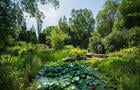 Bassin d'eau