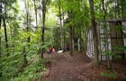 Sentiers pédestres en forêt&nbsp;&nbsp;&nbsp;&copy; Wander Prod