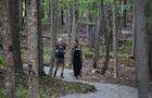Parc de la Gorge de Coaticook&nbsp;&nbsp;&nbsp;&copy; Parc de la Gorge de Coaticook
