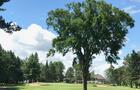 Club de golf Montcalm - 1&nbsp;&nbsp;&nbsp;&copy; E.Gaudet