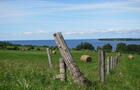 ÉquinoxAventure_Saguenay_PaysageVélo&nbsp;&nbsp;&nbsp;&copy; Équinox Aventure