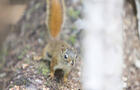 Nature&nbsp;&nbsp;&nbsp;&copy; TQ/D.Lafond