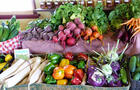 Légumes cultivités sans pesticide