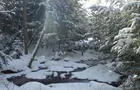 Saison hivernale&nbsp;&nbsp;&nbsp;&copy; Réserve écologique de la Forêt-la-Blanche