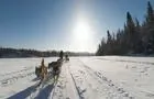 Randonnée avec les chiens&nbsp;&nbsp;&nbsp;&copy; Attractions Boréales