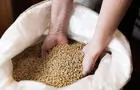 Malt&nbsp;&nbsp;&nbsp;&copy; Mathieu Pratte