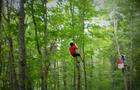 Tyrolienne&nbsp;&nbsp;&nbsp;&copy; La Forêt de Maître Corbeau