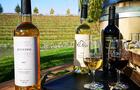 Vins&nbsp;&nbsp;&nbsp;&copy; Vignoble Château Fontaine
