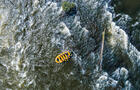 Rafting Montréal&nbsp;&nbsp;&nbsp;&copy; Mike Hitelman