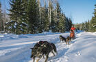 Balade avec les chiens&nbsp;&nbsp;&nbsp;&copy; B.Bohart